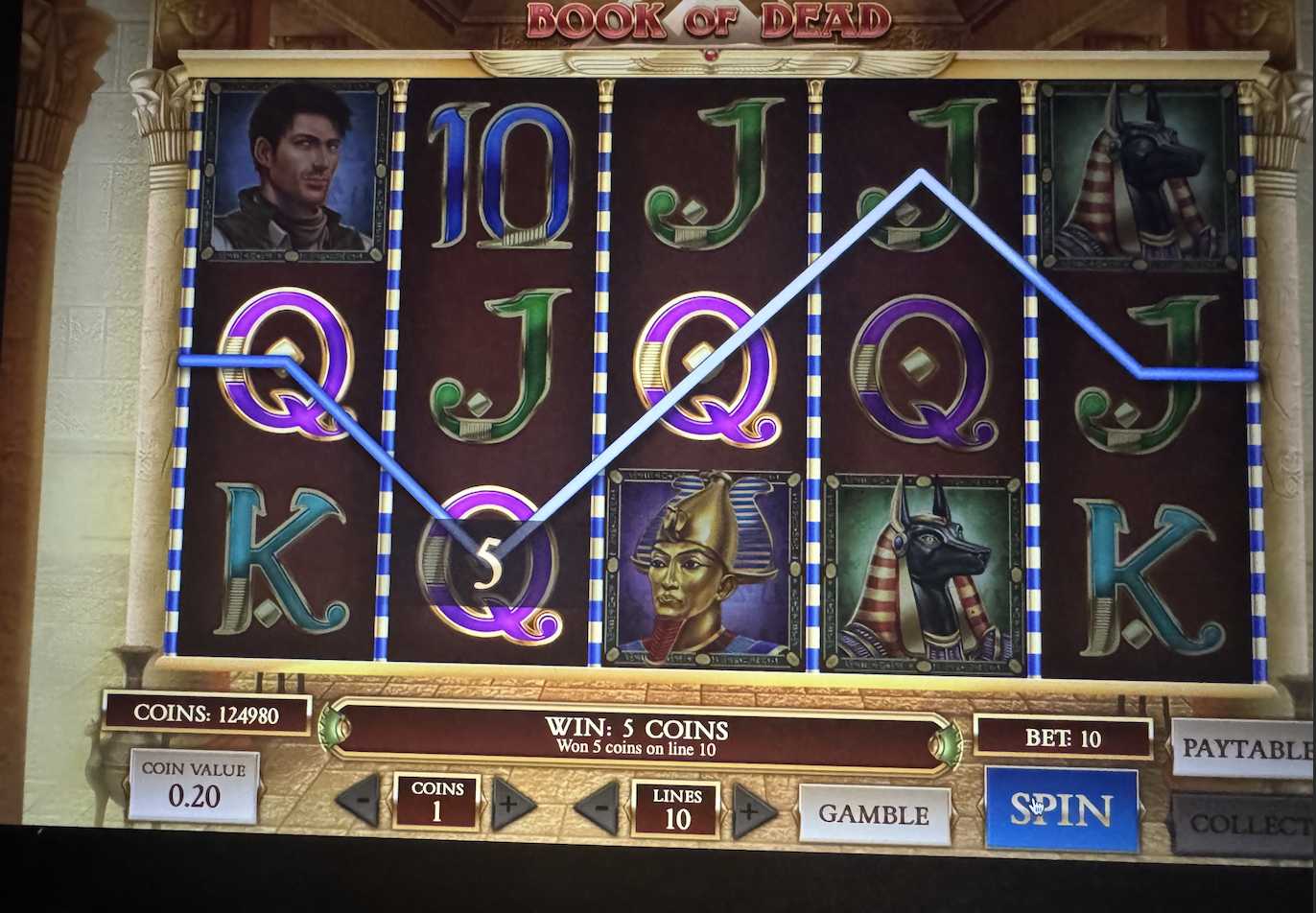 Rich Wilde and the Book of Dead Slot Game Screenshot